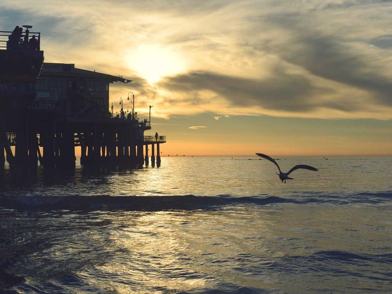 墨染流年<br>axbyeqm.cn 书法金石韵味